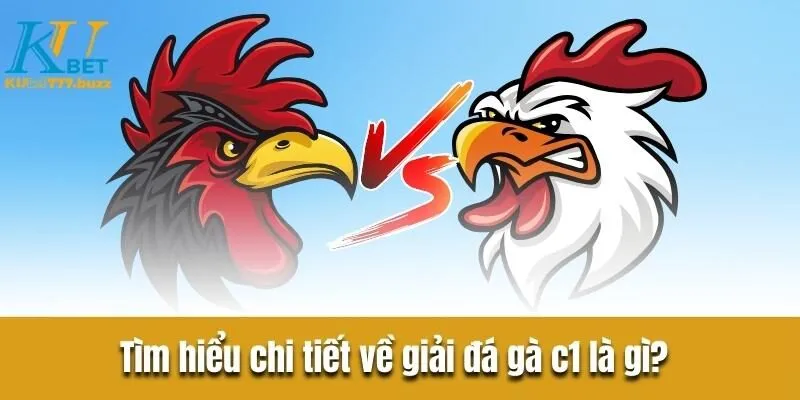 Tìm hiểu đá gà c1 là gì? Khám phá quy tắc sảnh chơi đá gà Tìm hiểu chi tiết về giải đá gà c1 là gì?